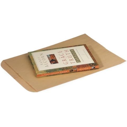 100 Pc 6.25 X 9.25 Flat Kraft Paper Merchandise Bags Cover
