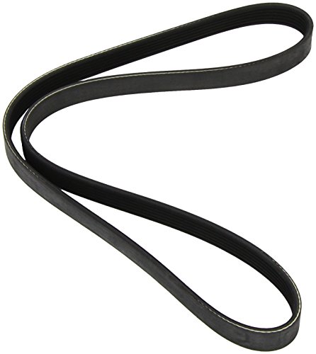 Dayco 6PK1152 Correa Trapecial Poli V