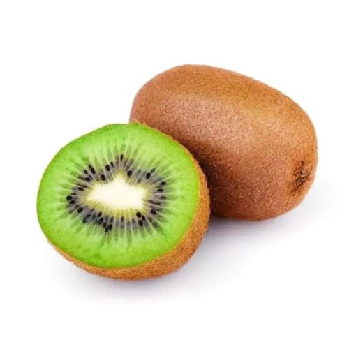 Muda Frutífera de Kiwi Bruno Enxertada (Fêmea)