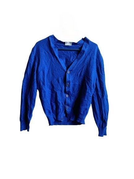 Trendy Winter Fashion Cardigan Sweater Blue Bust 36 INCHES-image-0