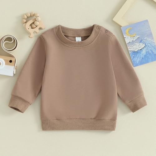 TheFound Toddler Baby Boys Sweatshirts Long Sleeve Crewneck Solid Color Pullover Fall Winter Tops Casual Newborn Baby Clothes2