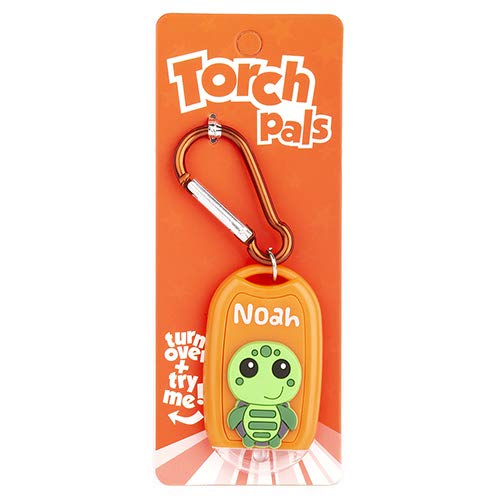 Personalised Torch Pals - Noah