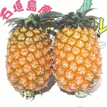 Amazon 黄金パイン 大玉 2個入 21年 沖縄石垣島産 I Shopいしがき パイナップル 通販