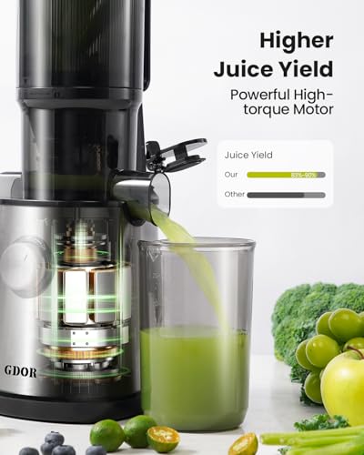 GDOR Cold Press Juicer Machines, 4.25\'\' Large Feed Chute Masticating Slow Juicer Fits Whole Fruits and Vegetables, Low Noise, Easy to Clean, Silver