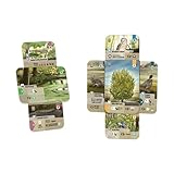 Zoom IMG-2 asmodee forest shuffle dartmoor gioco Zoom IMG-2 asmodee forest shuffle dartmoor gioco