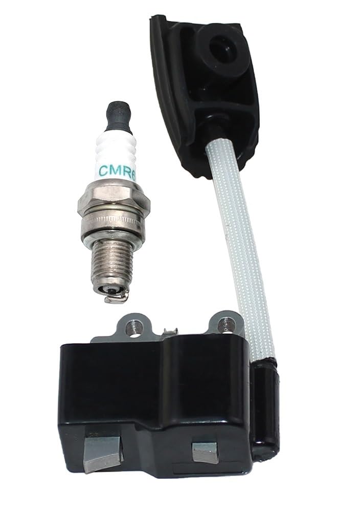 Module d'allumage 521648701 étincelle stable pour moteur 253RB 553RS