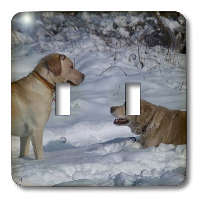 Dos perros en invierno interruptor de doble palanca decorativo casa 4