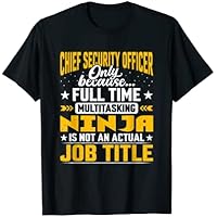 Chief Security Officer Job Title - Chief Security Inspector