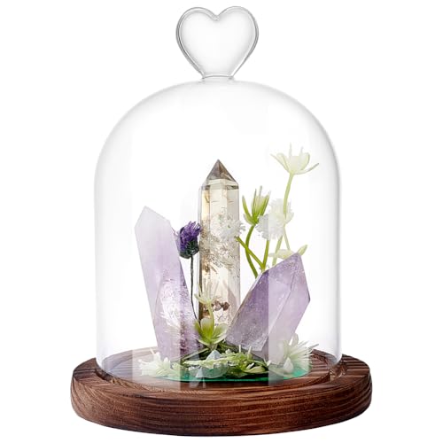 WADORN Cloche en verre transparent de 16,5 x 12,9 cm avec poignée supérieure en forme de cœur et base en bois marron pour objets de collection antiques, spécimens, plantes, décoration de table de Noël