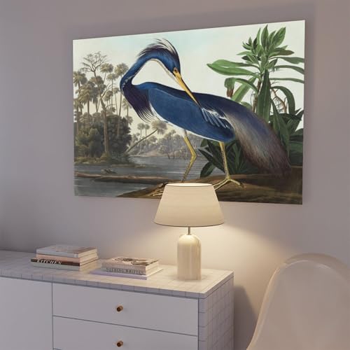 Cadre à suspendre Héron de Louisiane Audubon - Tableau sans reflets