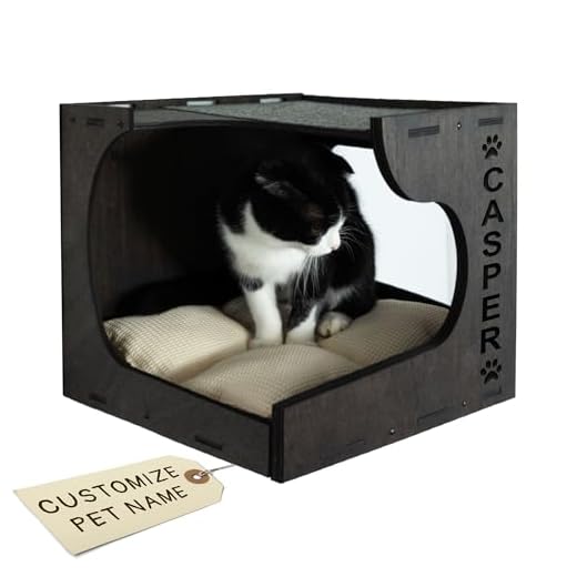 Legendnade Personalized Cat Condos