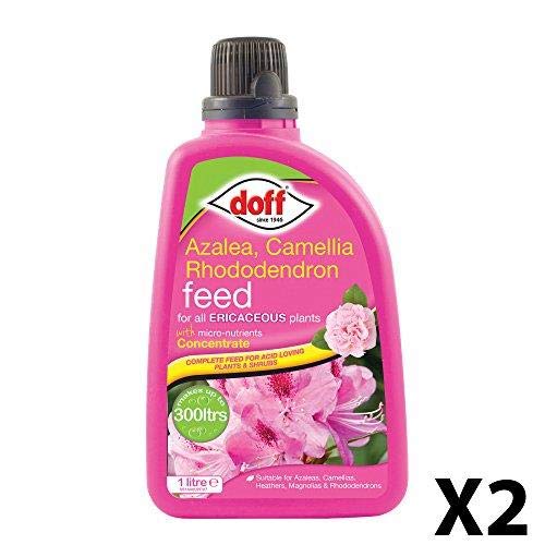 2 X Doff 1L Ericaceous Plant Feed