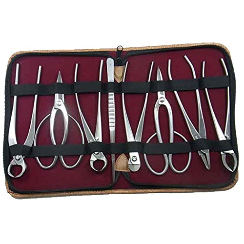 ~͓ XeX 8_Zbg 177A ~ } j ~ | A K[fjO  BONSAI { in쏊 s