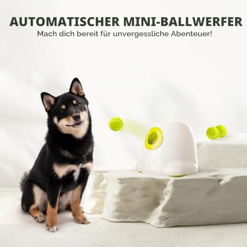 ALL FOR PAWS Automatischer Hundeballwerfer, interaktives Apportierspielzeug für kleine bis mittelgroße Hunde, Wurfmaschine für den Innen- und Außenbereich, inklusive 3 Bällen 2 Zoll – Produktbild 7