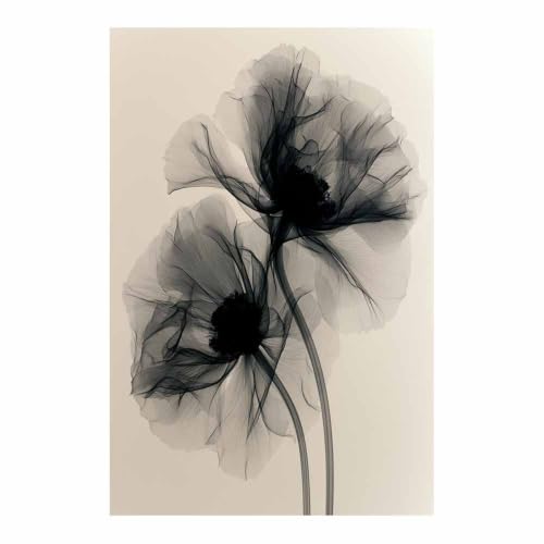 Pavot transparent affiche monochrome pour habiller un grand mur vide