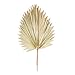 Melrose 83227 Fan Palm Leaf, 42-inch Height, Natural Palm