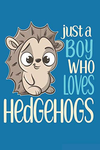 Just a Boy Who Loves Hedgehogs: Journal Notebook Diary: 120 Lined, Wide Rule Pages