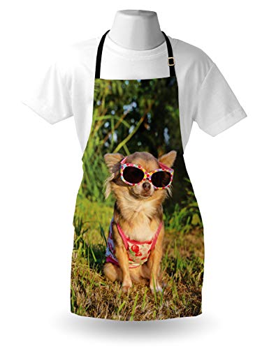 ABAKUHAUS Chihuahua Kochschürze, Hund mit Riemchen Top, Fett Schmutz abweichent Waschbar Farbe verblassen Nicht, Mehrfarbig