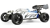 voll einstellbares Fahrwerk Amewi 22317 Blade Buggy Brushed 4WD 1:10, RTR