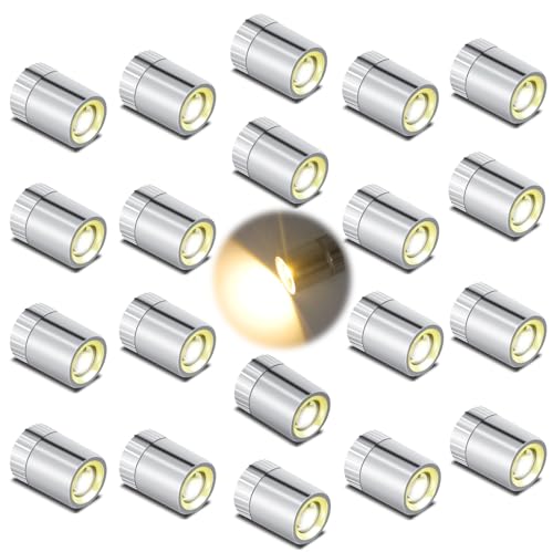 FNHMSL 20 PCS Mini LED Lights for DIY Dioramas