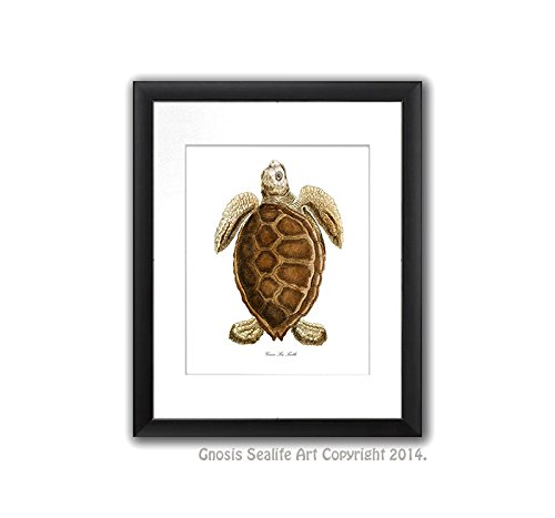 Sea Turtle Decor Art Print Unframed Set Of 4, Brown Neutral Decor Loggerhead Sea Turtle Art Beach Bathroom Bedroom Wall Art #TOP3