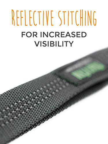 image for Mighty Paw Double Dog Leash, Two Dog Adjustable Length Dog Lead, Premi