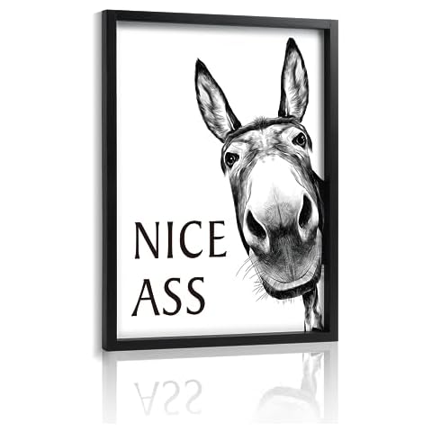 Framed Bathroom Wall Art Nice Ass, Donkey in Bathroom for Bathroom Wall Decor Farmhouse Home Bathroom Decor Sets Funny Bathroom Signs (11"x14",Black) Cover