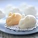 MoldFun 6 Cavity 3D Rabbit Mousse Cake Baking Pan Easter Day Bunny Silicone Mold for French Dessert Soap Lotion Bar Cupcake Butter Jelly Jello Ice Cube Tray Plaster
