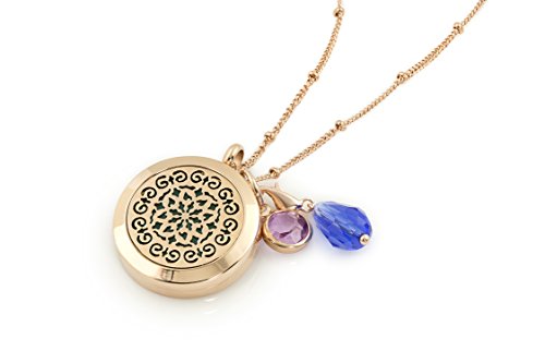 3 Essential Oil Diffuser Necklaces - Aromatherapy Jewelry - $17.99 Each - Hypoallergenic 316L Surgical Grade Stainless Steel, 20.8” Chain + 8 Washable Insert Pads + Charms ($17.99 Each) #TOP6