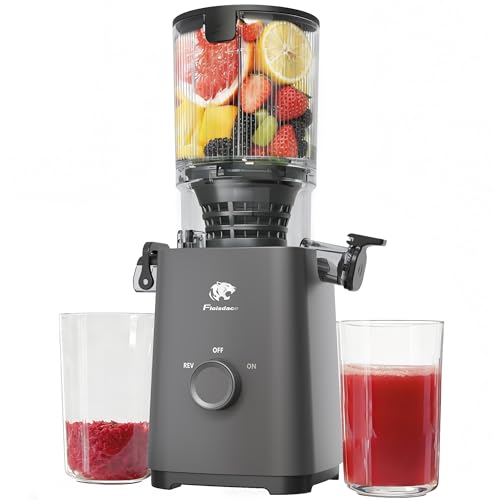 Image of Cold Press Juicer Machines, 5.3 inch Large Feed Chute Slow Masticating Juicer, Powerful AC Brushless Motor Fit Whole Fruits & Vegetable, 99% Juice Yield, Ultra Quiet, Easy Clean