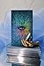 James R. Eads Prisma Visions Tarot, L