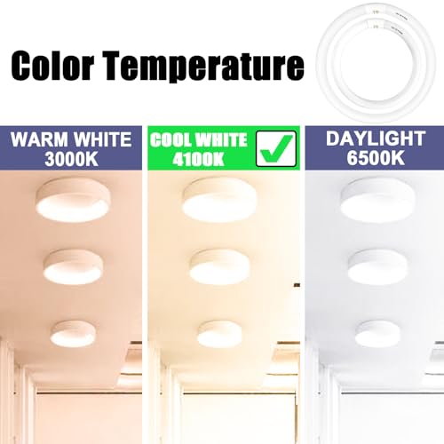 Celiwace FC16T9/CW 40 Watt and FC12T9/CW 32W Set Cool White, 16'' T9 40 Watt Circline Light Bulbs, 12 inch 32W Circular Fluorescent Tube, Round Fluorescent Bulb CRI 82, 4100K, 5300 Lumen G10q by Celiwace - Image 6