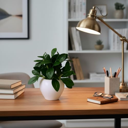 Image of fancymart Artificial Rubber Plant in 4 Inch White Apple Pot (22 cm Height) - Realistic Green Decorative Plant for Home Decor, Living Room, Office Desk & Interior Decoration