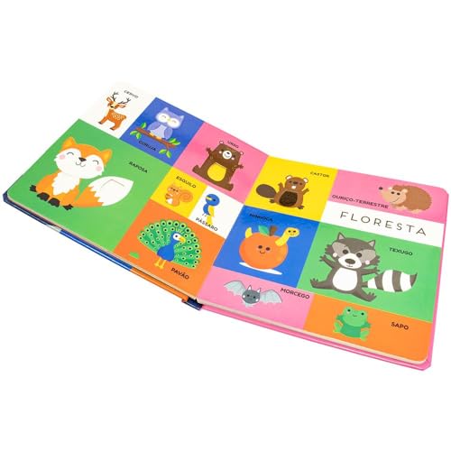 100 Primeiras Palavras - Toque e Sinta: Animais Grandes & Pequenos