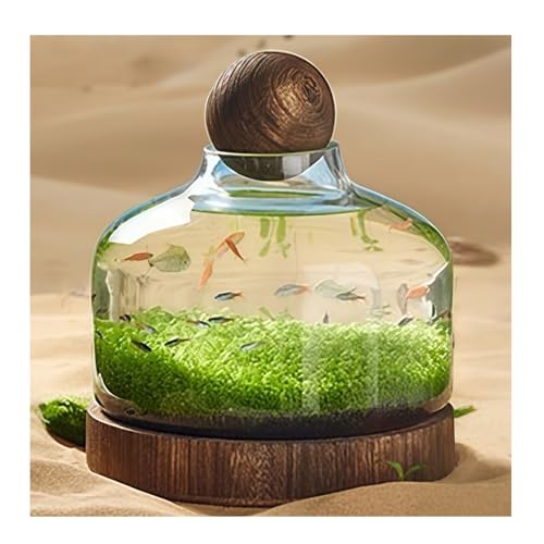 Quxxuol 金魚鉢 テラリウム 小型水槽 金魚鉢ガラス 水槽セット 透明ガラス 生態飼育 高い透明性 おしゃれ 木製トレイ付 水耕栽培 景観魚缸兼用 家庭用 (32*27cm)