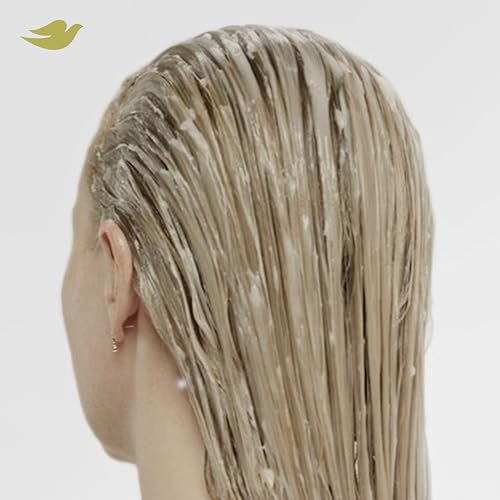 Dove Bond Strength, Damage Therapy System – Shampoo, Conditioner, 10-in-1 Shield Serum & Peptide Mask, Hair Repair Treatment, Anti-Frizz (4 Piece Set)