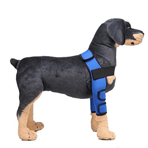 Coerni Dog Recovery Sleeve - 1 Pair Dog Elbow Protector S/M/L (Large, Blue)