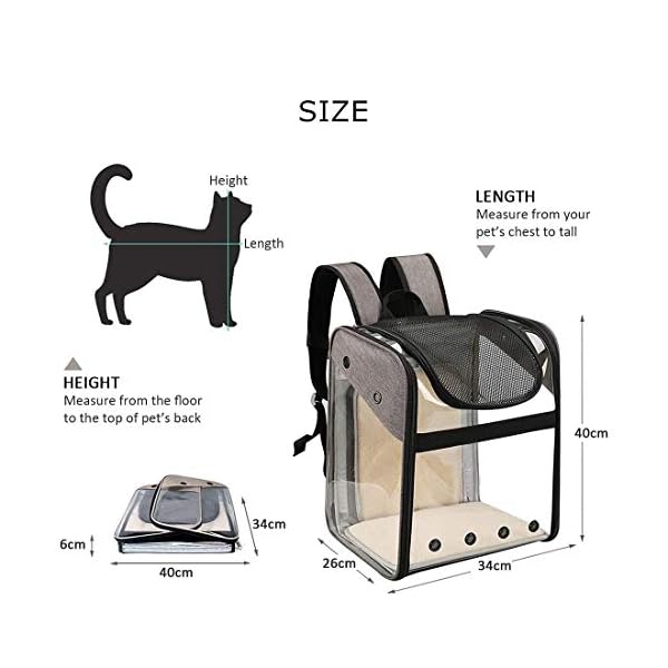 Transporttasche Rucksack Haustiere Hunde Katzen 10kg, Erweiterbare Große Tragbare Katzenrucksack Hunderucksack 4 Eintritt Top Öffnung Transparent Tragetasche Faltbar Airline Genehmigt Reisen – Bild 3