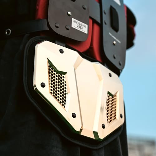 LeCool Football Back Plate - Lower Back Protection for Shoulder Pads - Hard Shell and Contoured Foam, Youth to Adult(Chrome Glod)