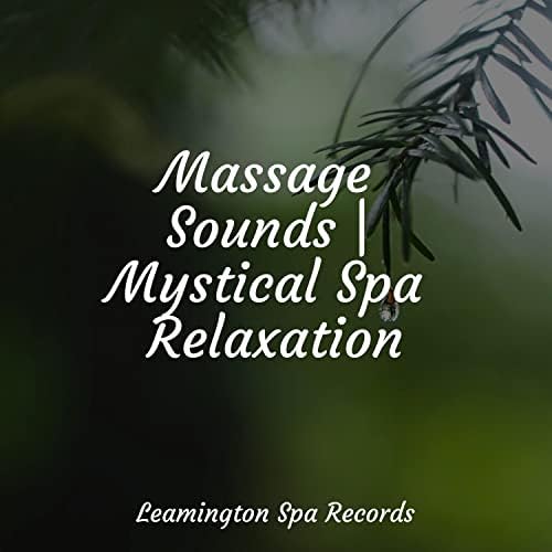 Massage Sounds | Mystical Spa Relaxation von Academia de Música para ...