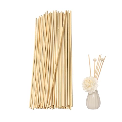 100 PCS Wooden Dowel Sticks Set, 300mm X 3mm Craft Pegs for DIY Model Making, Home Decor and Furniture Assembly