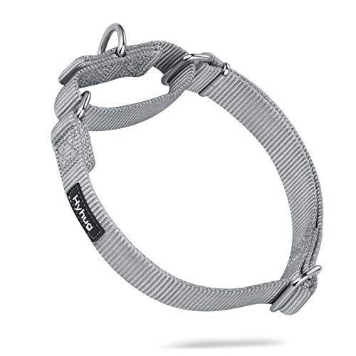 Premium aggiornato collare per cani Martingale anti-fuga in nylon resistente per cani di taglia piccola di taglia piccola e media - Allenamento a piedi Uso quotidiano (Medio M, Nevischio grigio)