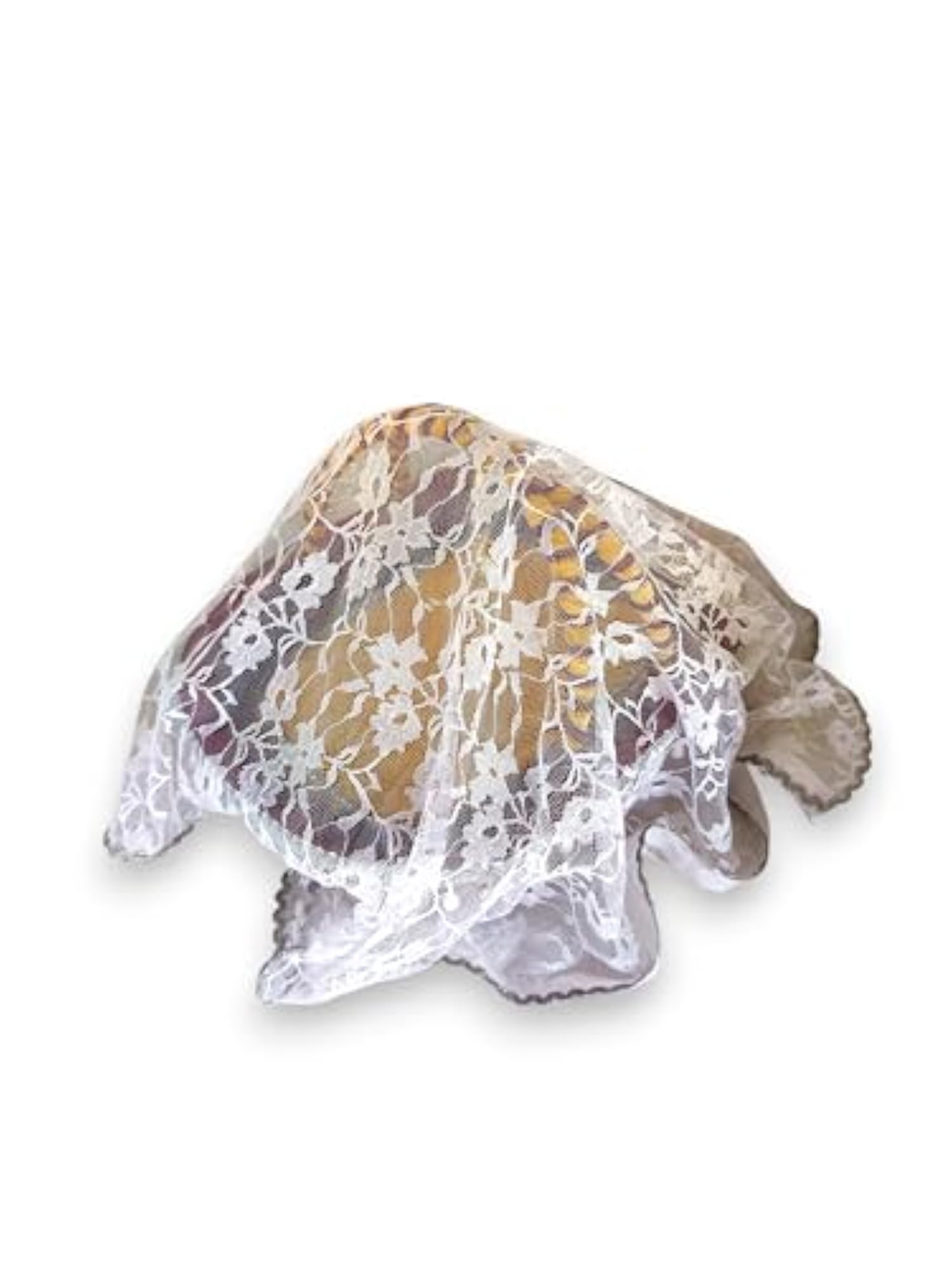 Ladoo Gopal Carry Basket with Adjustable Mosquito Net