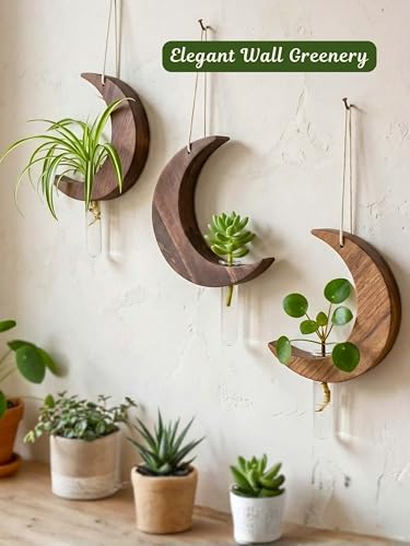 Image of Hanging Moon Planter with Wooden Holder & Rope | Test Tube Design, Indoor Stand, Home Decor, Living Room & Balcony, Office Decoration