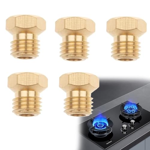 COYUN Lot de 5 Gicleur Gaz Butane, 1×0.4mm, 1×0.75mm, 1×0.8mm, 1×1.0mm, 1x1.3mm Gicleur Gaz Bouteille, Gicleur Gaz de Ville, Injecteur Gaz Butane, Buses et...