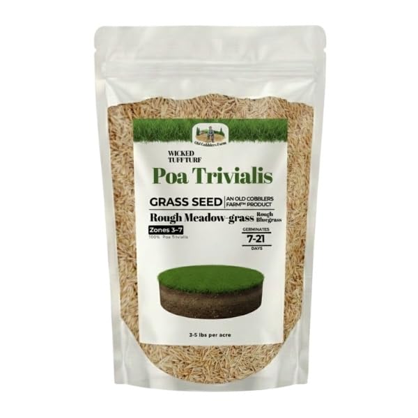 Old Cobblers Farm™ Wicked Tuff Turf POA Trivialis (Grasses) – Shade-Tolerant Grass Seed for...