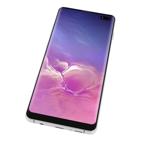 Écran LCD pour Galaxy S10 Plus argent avec châssis de remplacement - 7