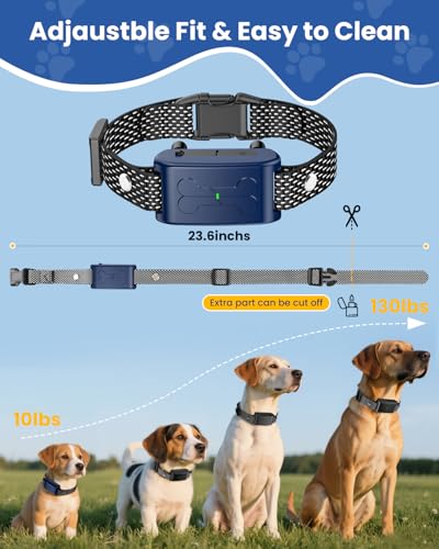 Owner Training Dog with Wireless System