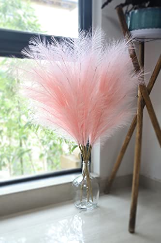 Fadun Pampasgras Getrocknet Trockenblumen Deko 5 Stück , Vasen Getrocknete Blumen 40''(100cm) Boho Deko,für Hochzeit Wohnzimmer Schlafzimmer Badezimmer Balkon Tischdeko(Rosa) Cover