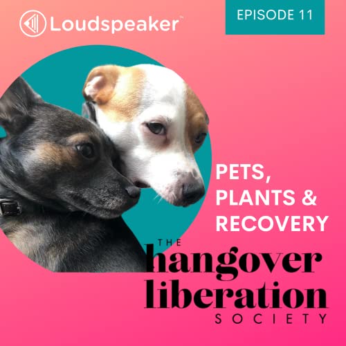 Page de couverture de HLS S1E11: Pets, Plants & Recovery